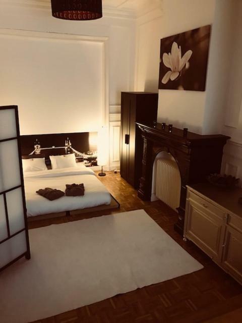 Chic Cocoon Guest House Saint-Gilles ภายนอก รูปภาพ